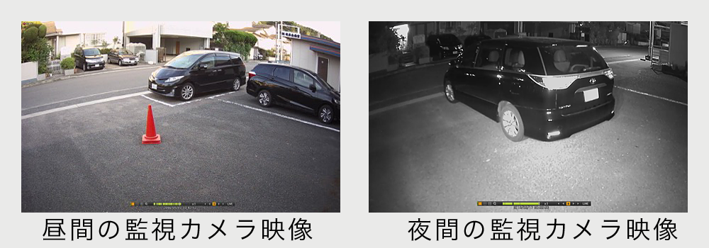 昼夜の映像